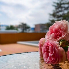 База отдыха Рио, Анапа, Краснодарский край