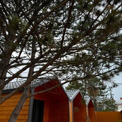 База отдыха Рио, Анапа, Краснодарский край