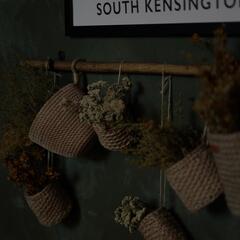 Отель Место под соснами, Красноярский край