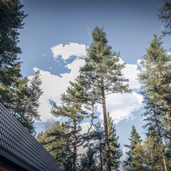 База отдыха Аксакал, Архыз, Республика Карачаево-Черкесия