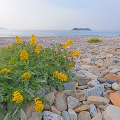 База отдыха Близкие люди, Приморский край