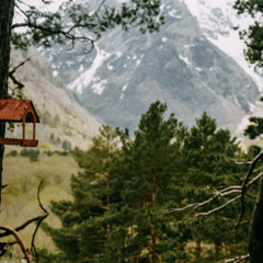 Коттеджный комплекс Панорама Дигория, Республика Северная Осетия - Алания