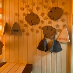 Частный дом Scandi house, Республика Карелия