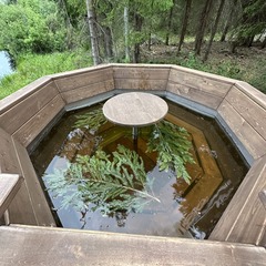 Частный дом Scandi house, Республика Карелия