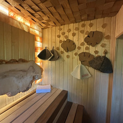 Частный дом Scandi house, Республика Карелия