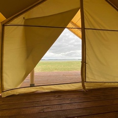 Глэмпинг Соленый берег, Новосибирская область