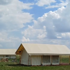 Глэмпинг Соленый берег, Новосибирская область