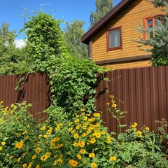 База отдыха Чайка, Татарстан