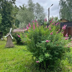 База отдыха Чайка, Татарстан