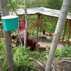 Кемпинг  Домик путешественника , Приморский край