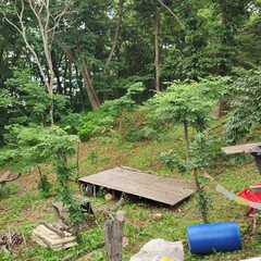 Кемпинг  Домик путешественника , Приморский край