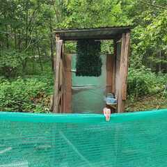 Кемпинг  Домик путешественника , Приморский край