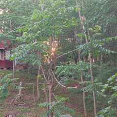 Кемпинг  Домик путешественника , Приморский край