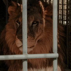 Парк отдыха Главрыба, Республика Дагестан