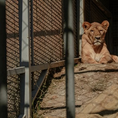 Парк отдыха Главрыба, Республика Дагестан