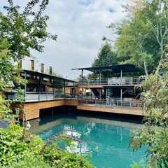 Парк отдыха Главрыба, Республика Дагестан