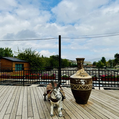 Парк отдыха Главрыба, Республика Дагестан