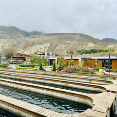 Парк отдыха Главрыба, Республика Дагестан