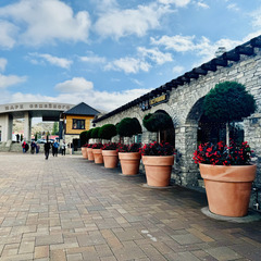 Парк отдыха Главрыба, Республика Дагестан