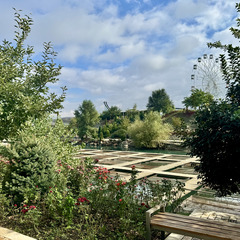 Парк отдыха Главрыба, Республика Дагестан