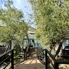 Парк отдыха Главрыба, Республика Дагестан