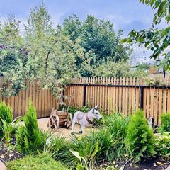 Парк отдыха Главрыба, Республика Дагестан