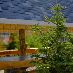 Эко-отель Даховская Долина, Республика Адыгея