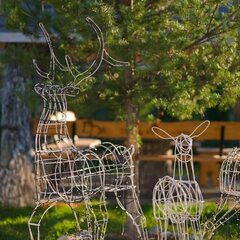 Эко-отель Даховская Долина, Республика Адыгея