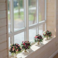 Эко-отель Даховская Долина, Республика Адыгея