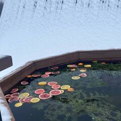 Глэмпинг Раифские пруды, Татарстан