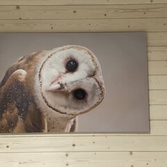 Гостевой дом Sova, Республика Карачаево-Черкесия 