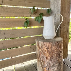 Загородный дом Дом у реки, Республика Карелия