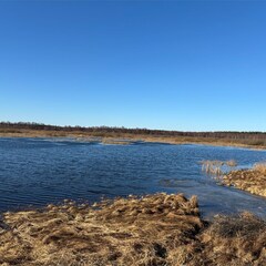 База отдыха и туризма Яламия, Московская область