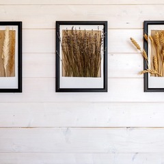 Глэмпинг Матрешка Home, Владимирская область