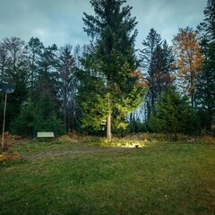 Гостевой дом Green Forest , Ленинградская область