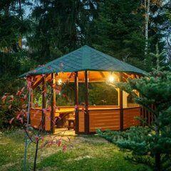 Гостевой дом Green Forest , Ленинградская область