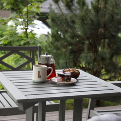 Загородный дом для 6 гостей рядом с лесом и озером в пос. Мысовое, Ленинградская область