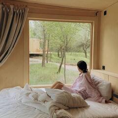 Глэмпинг Дубовая лапа , Волгоградская область