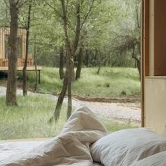 Глэмпинг Дубовая лапа , Волгоградская область