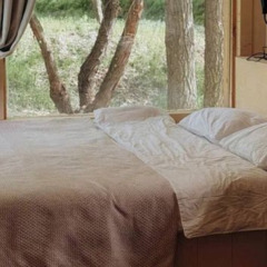 Глэмпинг Дубовая лапа , Волгоградская область