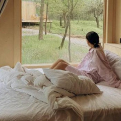 Глэмпинг Дубовая лапа , Волгоградская область