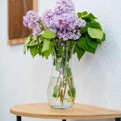 Отель Петровский берег, Ярославская область