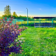 Отель Петровский берег, Ярославская область