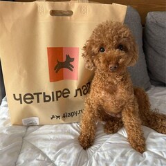 Гостевой дом Opushka house Александровское озеро, Ленинградская область