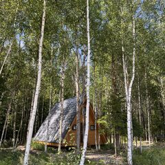 Гостевой дом KLEVER HOUSE - Хиттолово, Ленинградская область