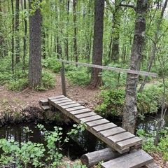 Гостевой дом KLEVER HOUSE - Хиттолово, Ленинградская область