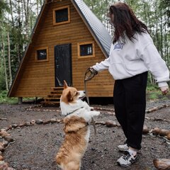 Загородный дом Klever House Экофорест, Ленинградская область