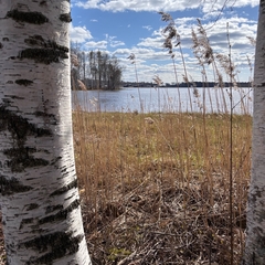 Загородный дом Klever House Экофорест, Ленинградская область