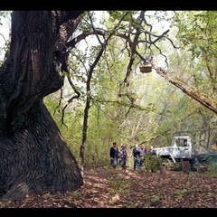 Эко-отель Фамилия, Астраханская область