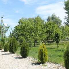 Эко-отель Фамилия, Астраханская область